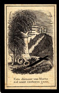 1880-08-31schijns-waterval,m.l.bidprentje347